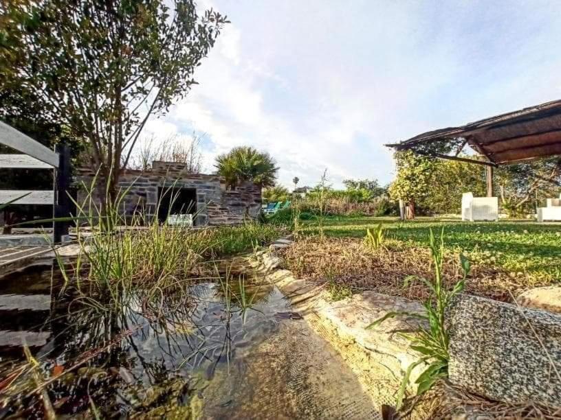 Villa Lusitaurus à Montoito Extérieur photo