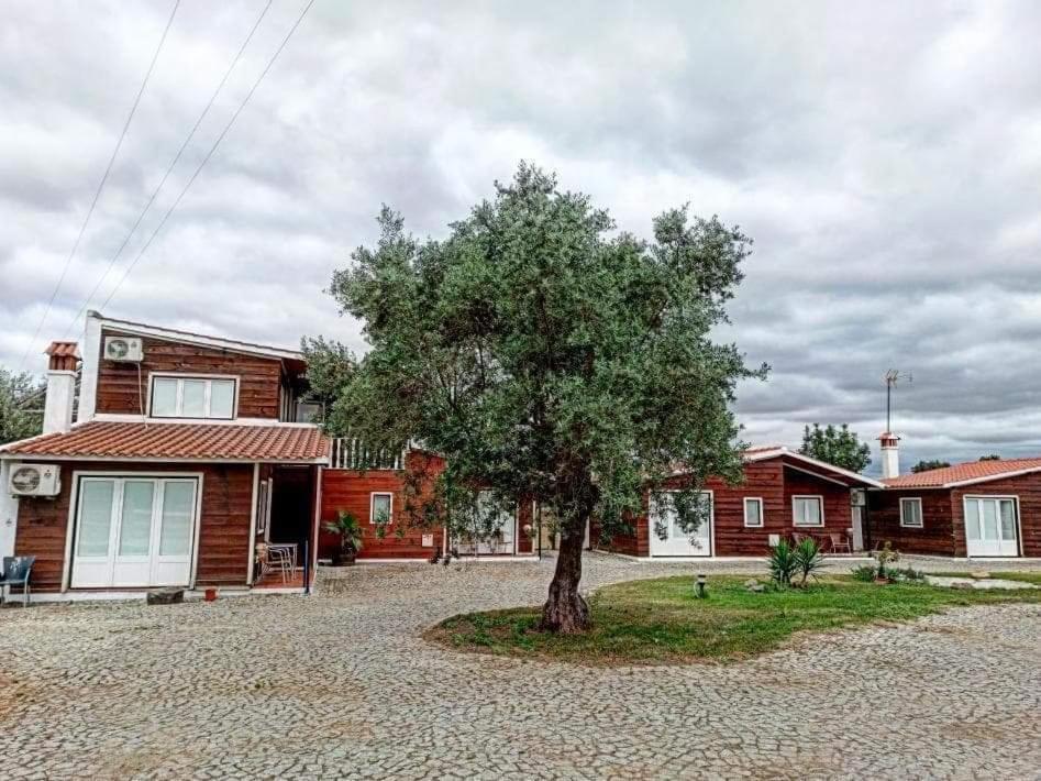 Villa Lusitaurus à Montoito Extérieur photo